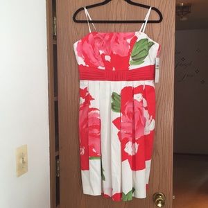 Spring/Summer Dress